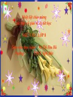 dấu ngoặc kép lớp 8