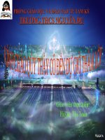 Dãy hoạt  động hóa học của Kim Loại - Huỳnh Thị Toàn