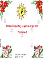 TNXH lớp 3 - Làng quê và đô thị
