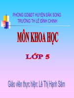 Su sinh san va nuoi con cua chim