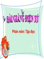 TD T30 Chau nho Bac Ho