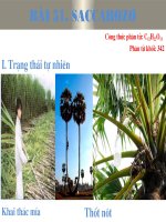 saccarozo ( thi GVG)