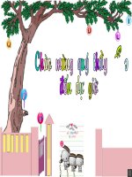 vacxin phong benh cho vat nuoi