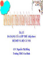 sinh 7- bộ dơi-cá voi