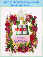 tiết 35 phương trinh tham số của đường thẳng trong không gian