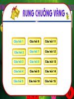 THI RUNG CHUONG VANG