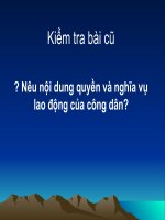 Bai 15 - vi pham phap luat va trach nhiem phap li