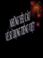 Nhung yeu cua su dung tieng Viet