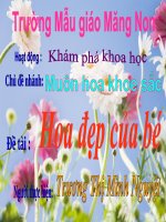 KPKH: Muôn hoa khoe sắc