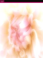 giao an thi gvg thanh pho