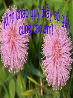 TAP DOC 1- LUY TRE(2 TIET)