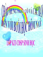 ôi nhiểm môi trường không khí