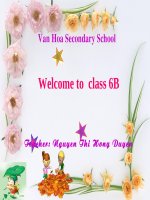 thao giang (cuc hay)