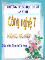 Bài 12: Sâu bệnh hai cây trồng