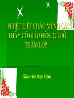 Tiết 156: Con chó Bấc