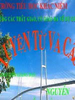 LT &C: Nhan hoa. On dat va tra loi cau hoi vi sao