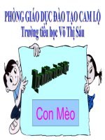 TN&XH: bài Con Mèo
