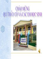 bài 44.Đa dạng và đặc điểm chung lớp chim