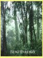 TRANG PHỤC CÁC DÂN TỘC BĂC TÂY NGUYÊN