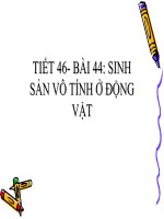 bai 44 sinh san vo tinh dong vat
