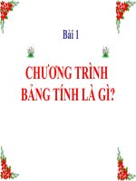 Bai 1 - Chuong trinh bang tinh la gi?