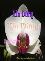 xin dung