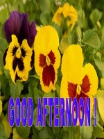 UNIT 5.LES 1(A 1-4-6