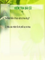 bài 37 (cb) sinh trưởng và phát triển ở động vật(có phim)