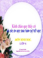 Bai 46. Thuc vat gop phan dieu hoa khi hau