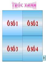 Một số Giun đốt khác và đặc điểm chung GĐ