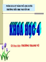 giáo án Khoa học lớp 4