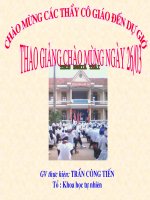 T/C tia phan jac cua 1 goc