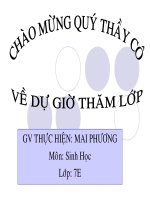 NHEN VA SU DA DANG CUA HINH NHEN