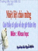 khoa học Sự nuôi và dạy con của thú
