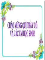 Bài 44: Sự phát triển của giới thực vật