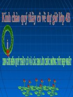 LUYỆN TỪ VÀ CÂU LOP 5 T27