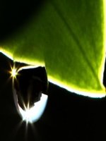 Những giọt Sương