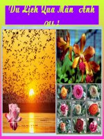 Trong Tầm Tay Của Bạn