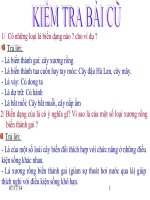 TIẾT 30: SINH SẢN SINH DƯỠNG TỰ NHIÊN