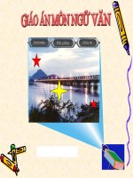 cac yeu to tu su va mieu ta trong van bieu cam