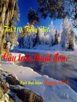 tiet 110- cau tran thuat don