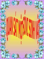 Thuc hanh quan sat sinh vat