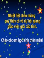 tim hieu kieu chu in hoa