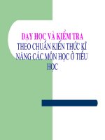 Dạy học và kiểm tra theo chuẩn KTKN các môn học ở Tiểu học