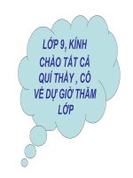 Bài 48: MẮT - Dạy thao giảng