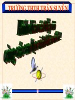 Sự dính ướt và không dinh ướt HTMD