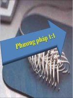 Mô hình trường học sáng tạo - 2