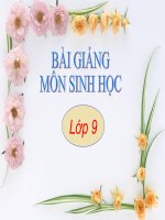 Bai 55 tiet 58- O nhiem moi truong
