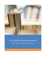 xử lý nước thải công nghiệp thuộc da