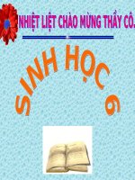 bài 48 tiết 58 vai trò của thưc vật đối với động vật